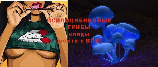 амф Медногорск