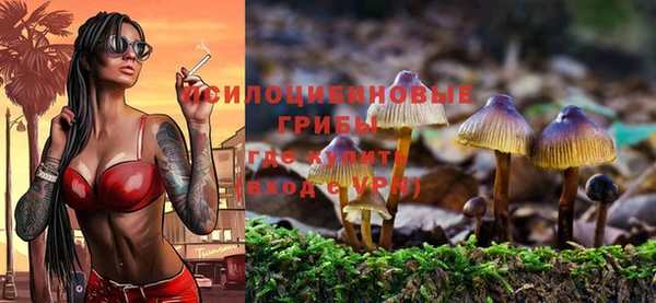ешки Майский