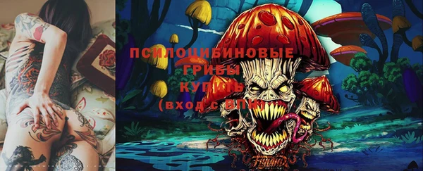 ешки Майский