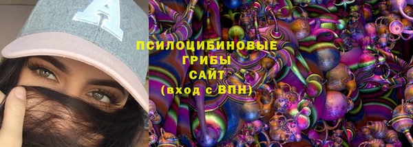 амф Медногорск
