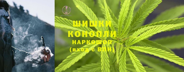 альфа пвп Медвежьегорск