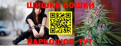 шишки Балашиха