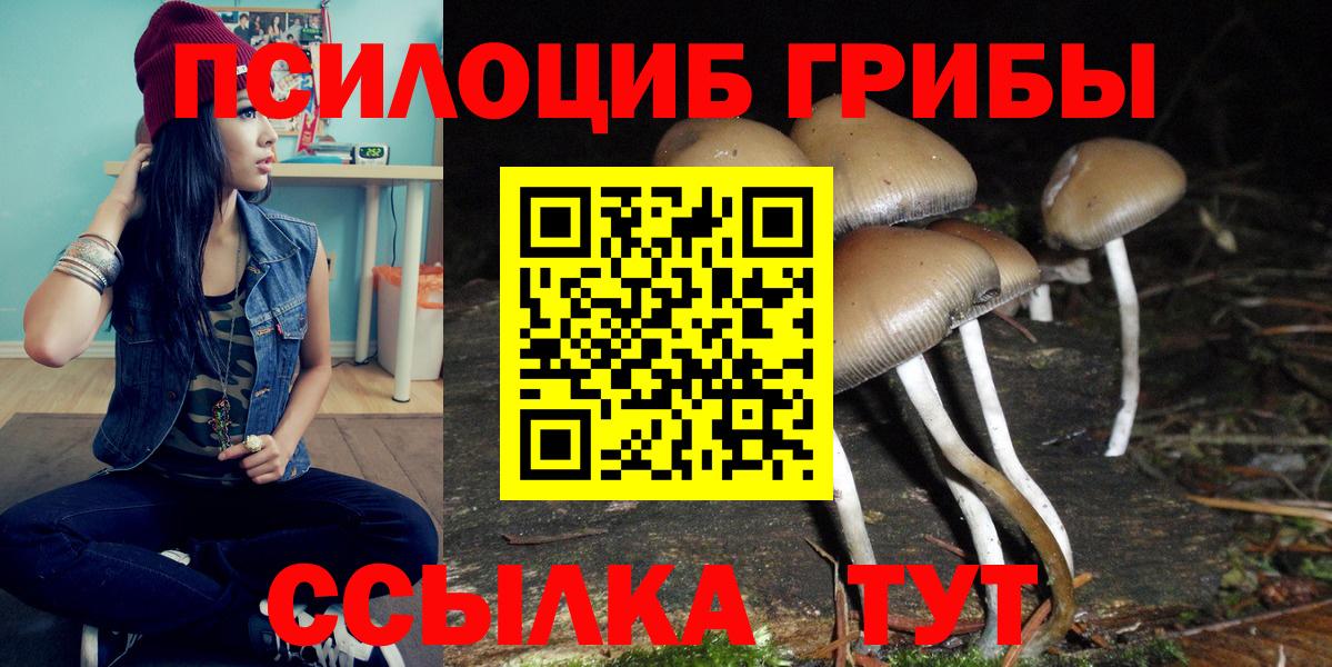 Киров  Галлюциногенные грибы Magic Shrooms  Вход с VPN 