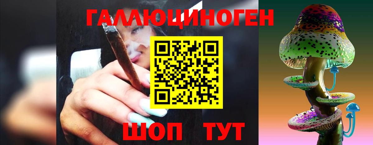 наркота  Киров  Псилоцибиновые грибы Magic Shrooms 