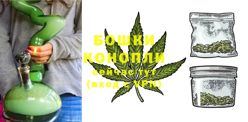 Бошки марихуана LSD WEED  купить наркоту  Киров 